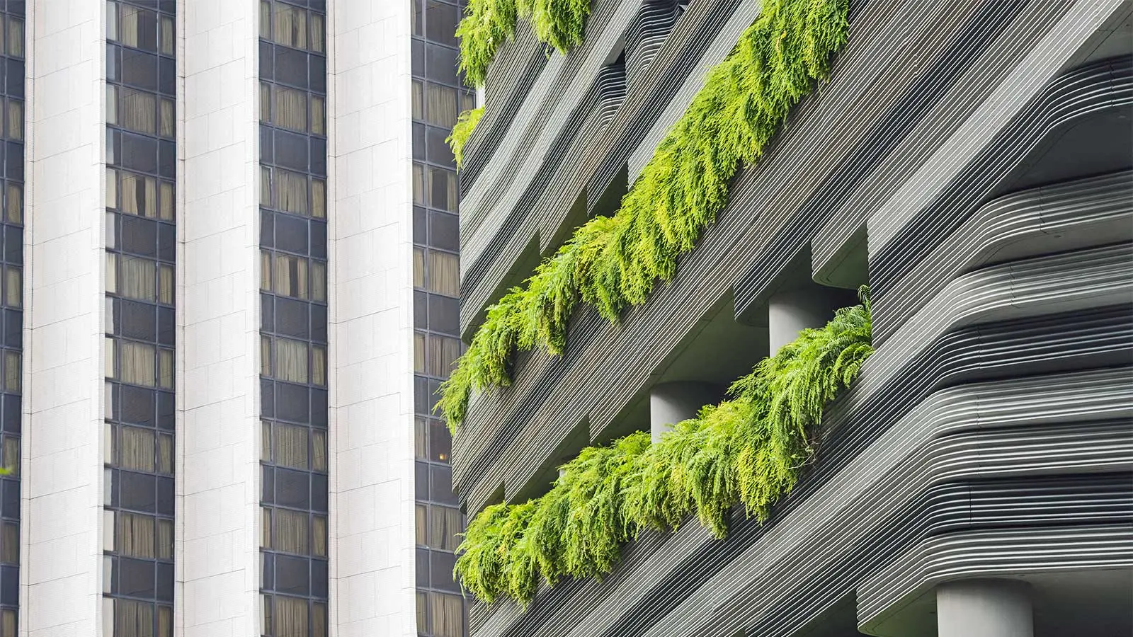 Central to the problem, but key to the solution on climate