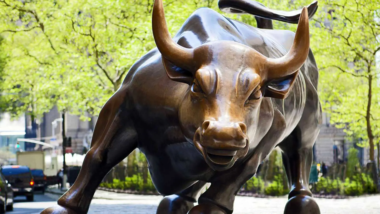 Fighting the bull