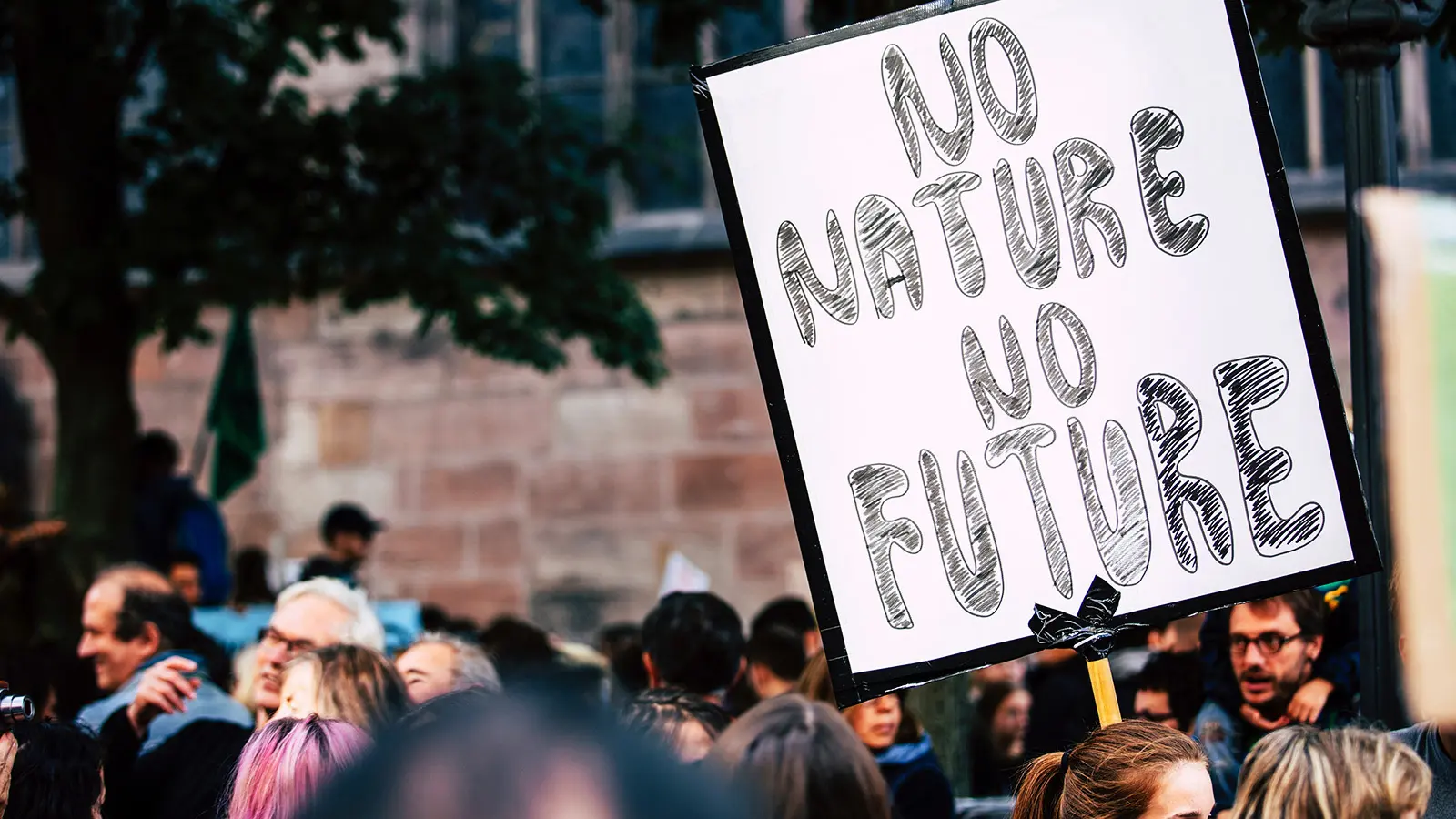 Fires, floods, pandemic, war – what comes next?