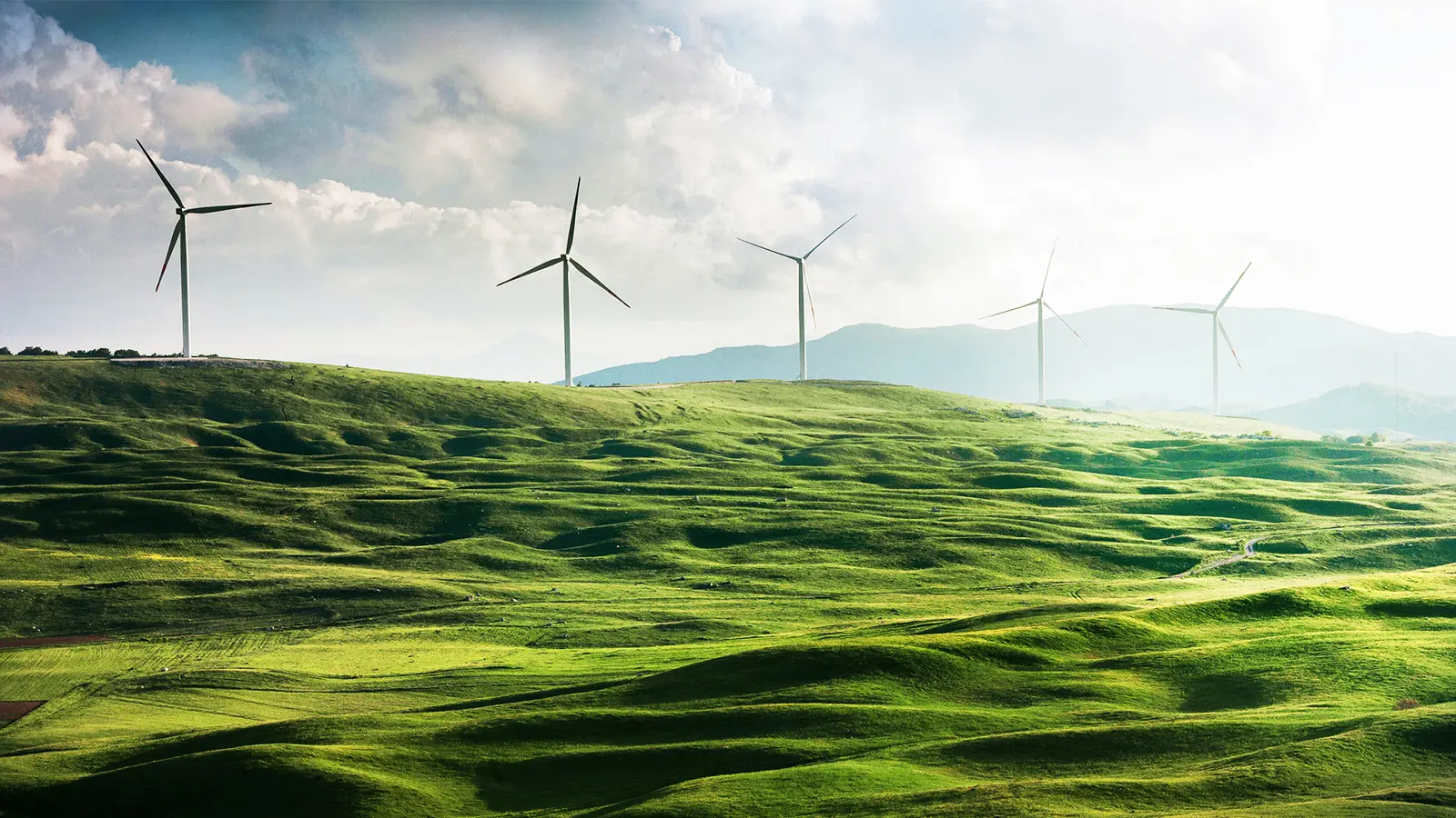 ‘Green’ trading evident in broker volumes