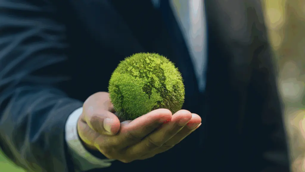 How to reduce your investment carbon footprint