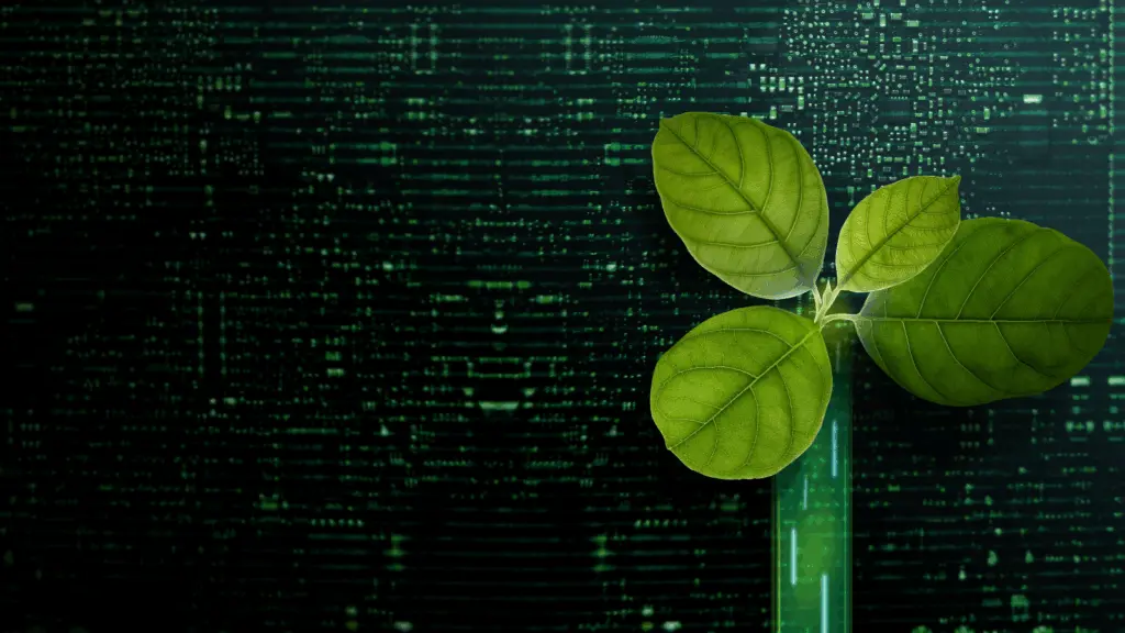 Why private debt is a better way to get companies to meet ESG goals