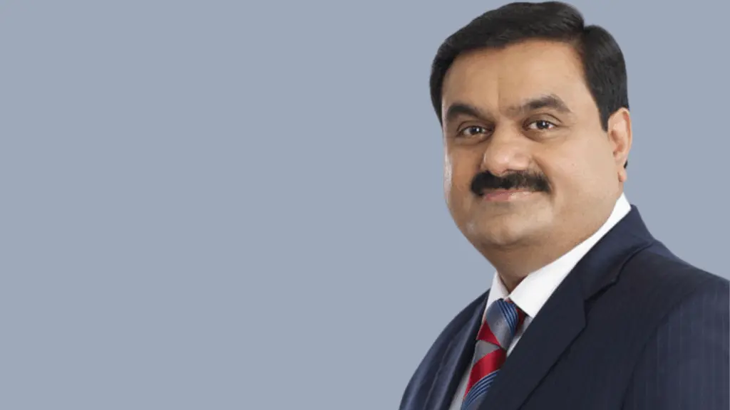 Adani attack puts focus on valuation concerns - and activists' motives