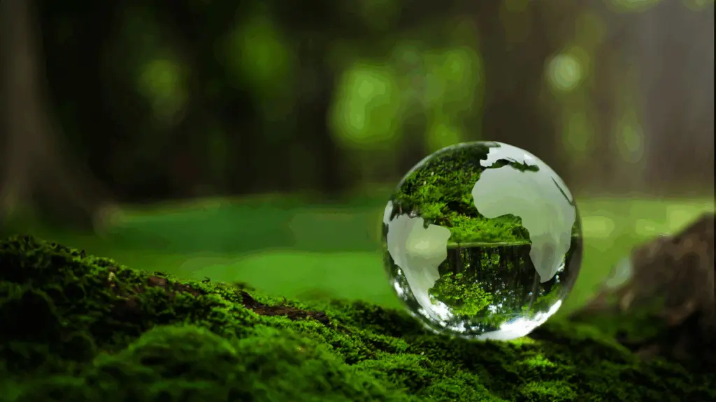 Why I'm committed to ESG, despite the momentum shift