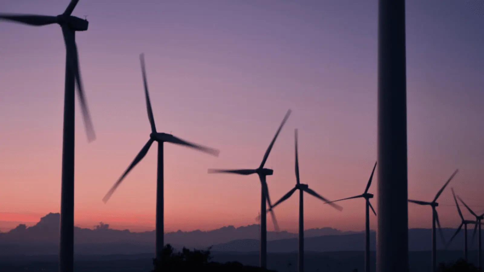 The energy transition path isn’t linear, but engagement is the best compass: Pzena